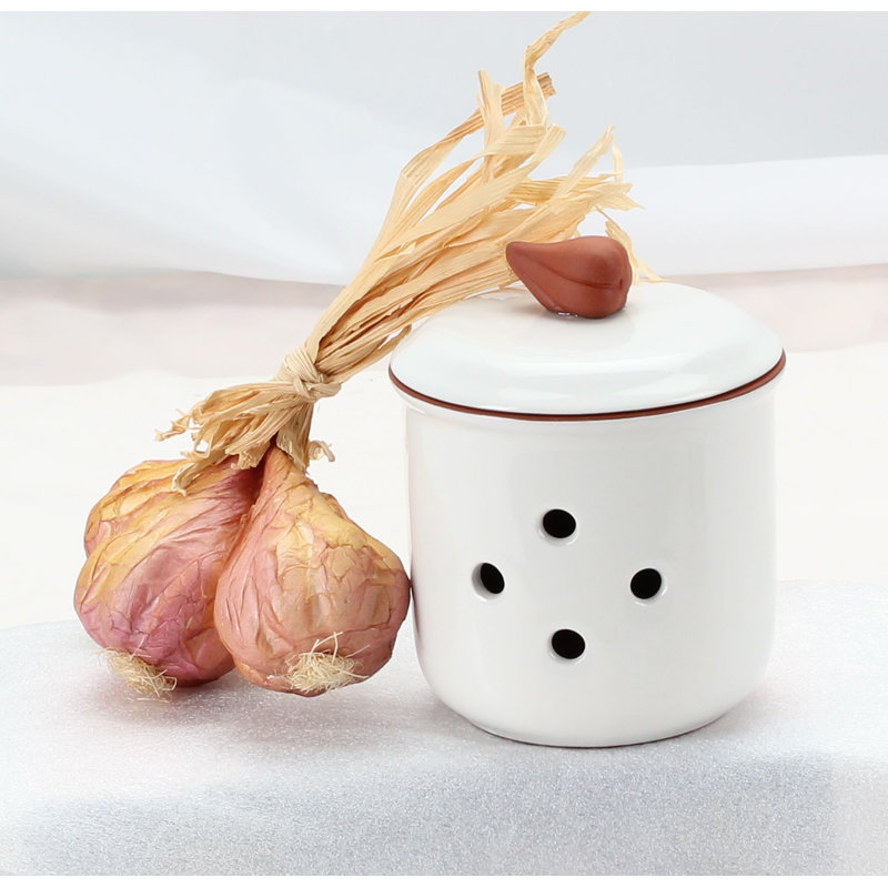 Alcott Hill® Zeno Terra Cotta Garlic Food Storage Container & Reviews